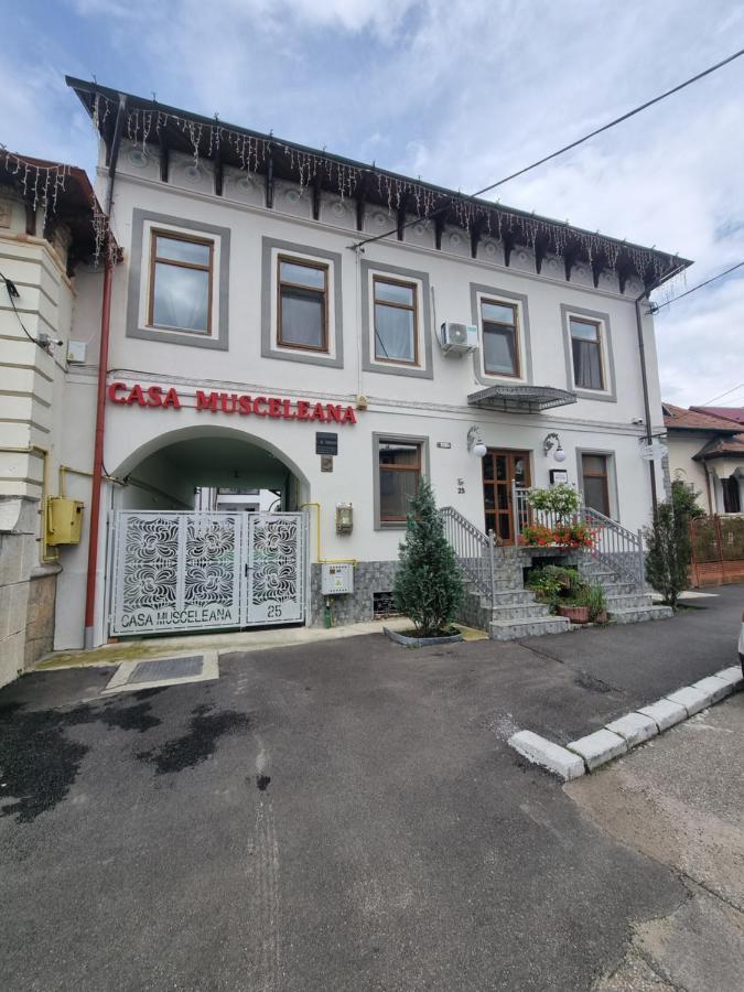 Casa Musceleana Ξενοδοχείο Cimpulung Εξωτερικό φωτογραφία